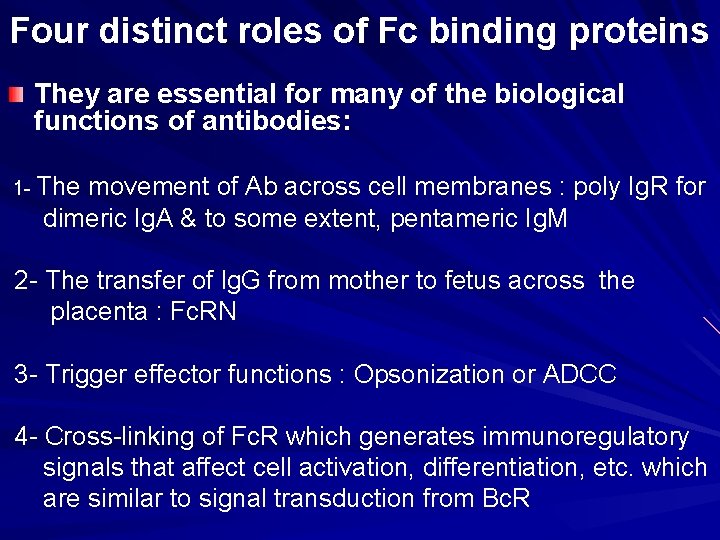 Four distinct roles of Fc binding proteins They are essential for many of the