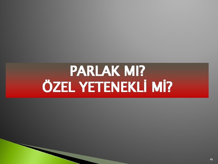 PARLAK MI? ÖZEL YETENEKLİ Mİ? 19 