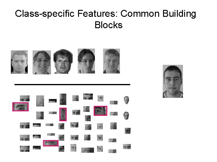 Class-specific Features: Common Building Blocks Class-specific Features: Common Building Blocks