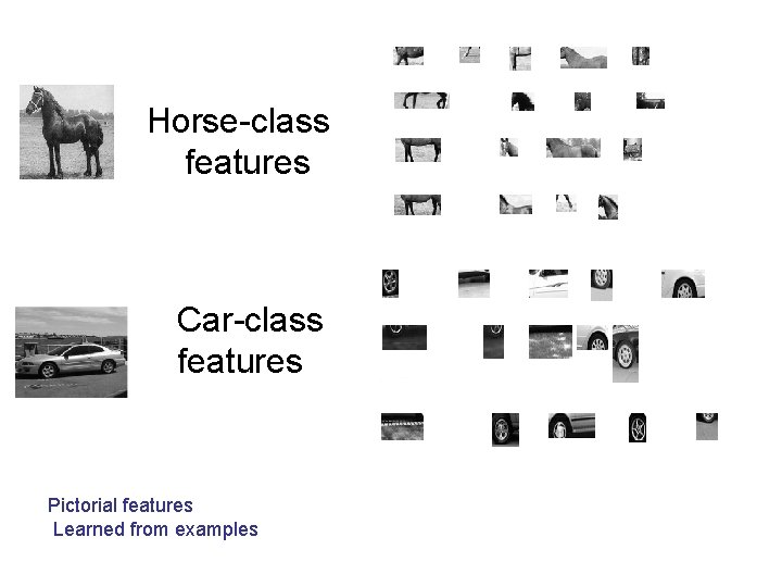 Horse-class features Car-class features Pictorial features Learned from examples Horse-class features Car-class features Pictorial features Learned from examples