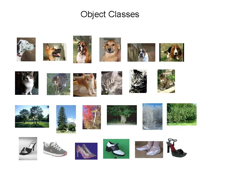 Object Classes Object Classes