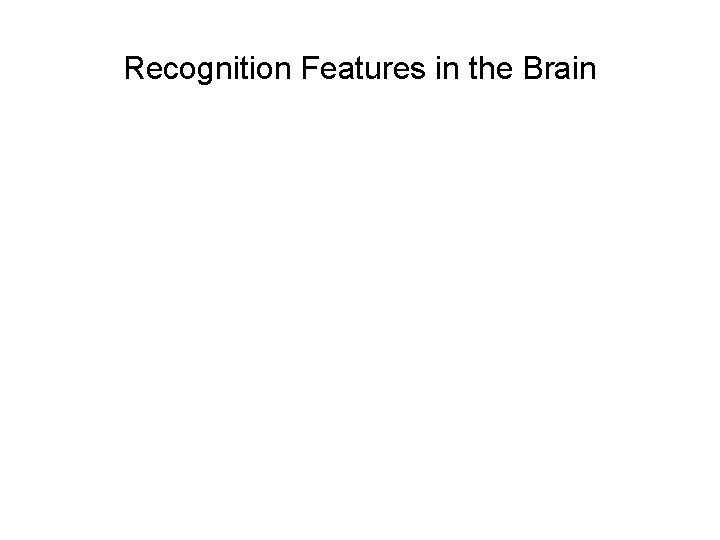 Recognition Features in the Brain Recognition Features in the Brain