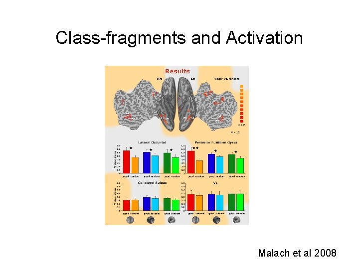 Class-fragments and Activation Malach et al 2008 Class-fragments and Activation Malach et al 2008