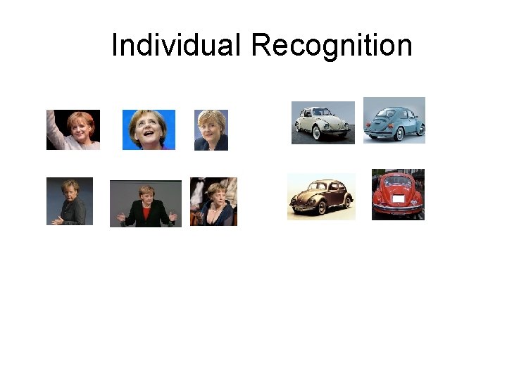 Individual Recognition Individual Recognition