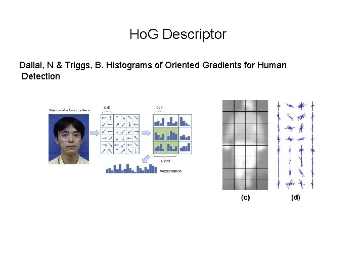 Ho. G Descriptor Dallal, N & Triggs, B. Histograms of Oriented Gradients for Human Ho. G Descriptor Dallal, N & Triggs, B. Histograms of Oriented Gradients for Human