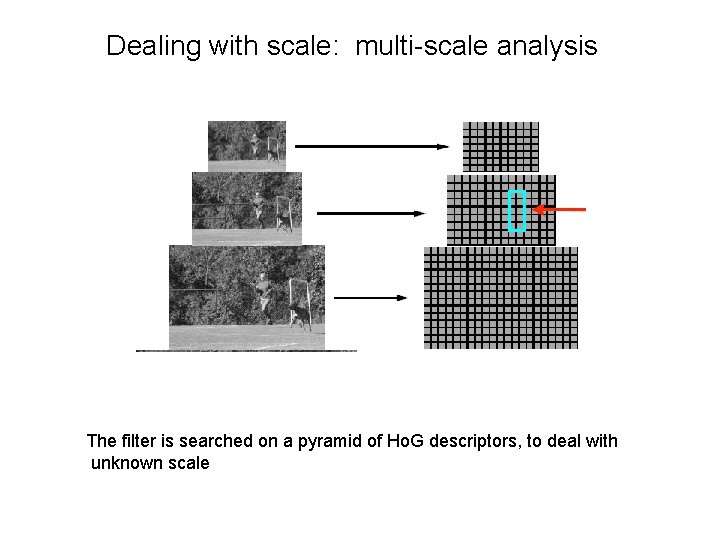 Dealing with scale: multi-scale analysis The filter is searched on a pyramid of Ho. Dealing with scale: multi-scale analysis The filter is searched on a pyramid of Ho.