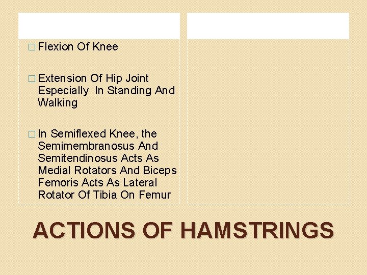 � Flexion Of Knee � Extension Of Hip Joint Especially In Standing And Walking