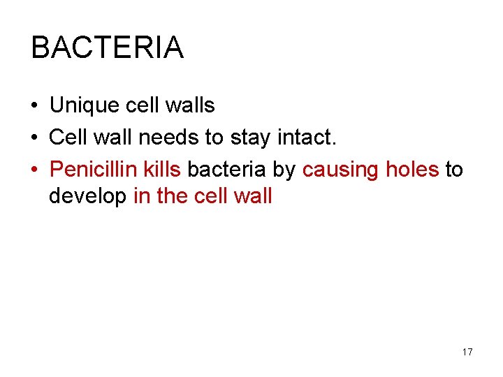 BACTERIA • Unique cell walls • Cell wall needs to stay intact. • Penicillin