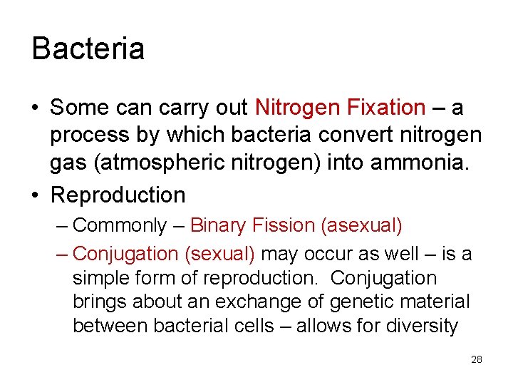 Bacteria • Some can carry out Nitrogen Fixation – a process by which bacteria