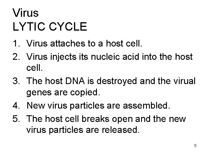 Virus LYTIC CYCLE 1. Virus attaches to a host cell. 2. Virus injects its