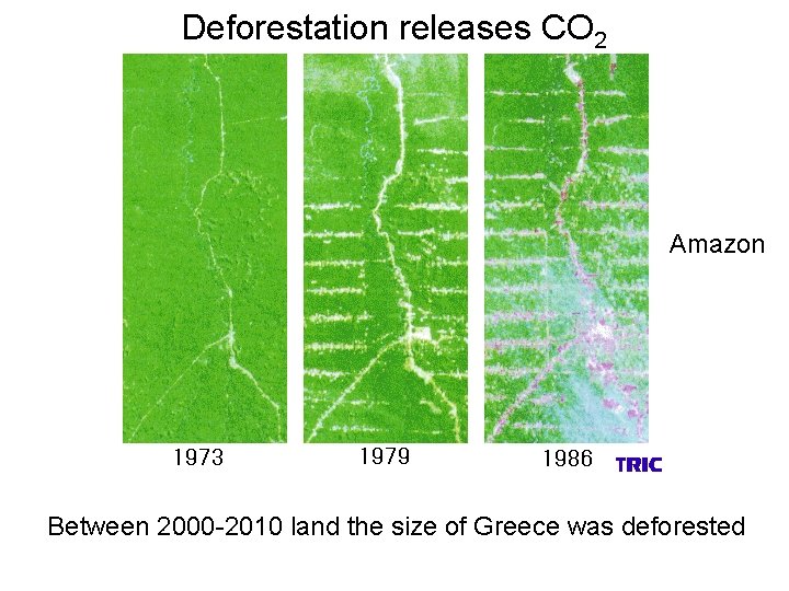 Deforestation releases CO 2 Amazon Between 2000 -2010 land the size of Greece was