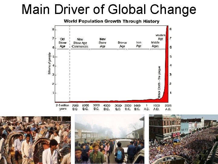 Main Driver of Global Change 