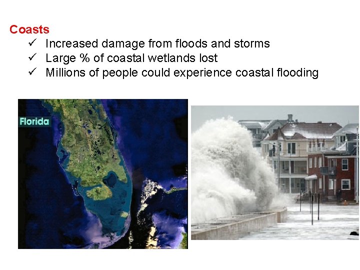 Coasts ü Increased damage from floods and storms ü Large % of coastal wetlands