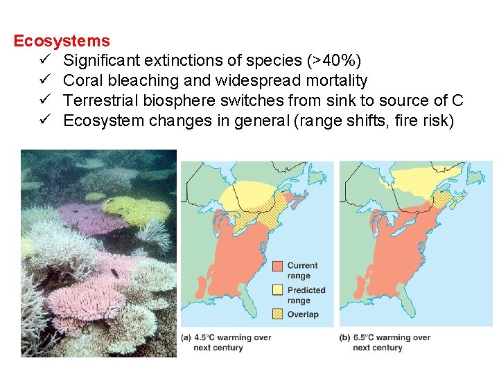 Ecosystems ü Significant extinctions of species (>40%) ü Coral bleaching and widespread mortality ü