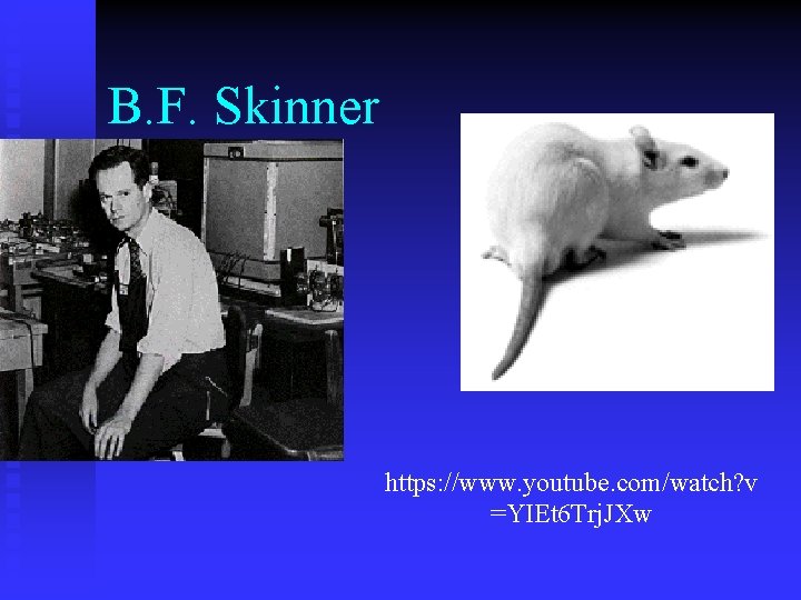 B. F. Skinner https: //www. youtube. com/watch? v =YIEt 6 Trj. JXw 