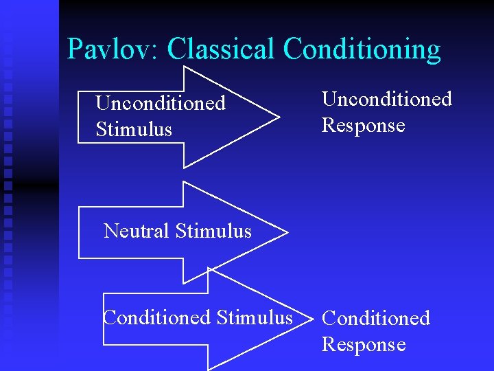 Pavlov: Classical Conditioning Unconditioned Stimulus Unconditioned Response Neutral Stimulus Conditioned Response 