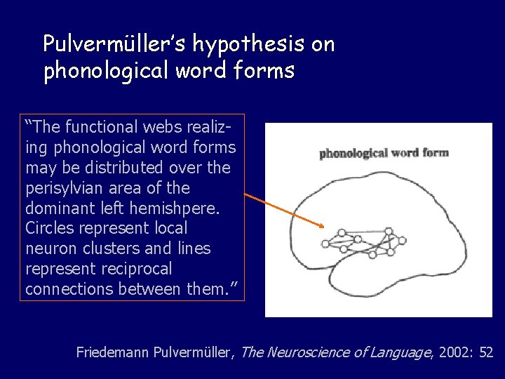 Pulvermüller’s hypothesis on phonological word forms “The functional webs realizing phonological word forms may