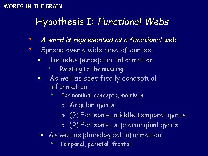 WORDS IN THE BRAIN Hypothesis I: Functional Webs • • A word is represented