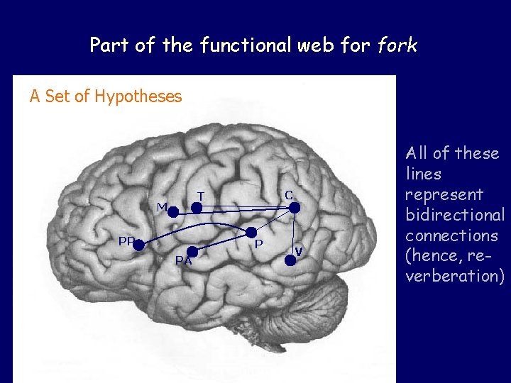 Part of the functional web fork A Set of Hypotheses C T M PP