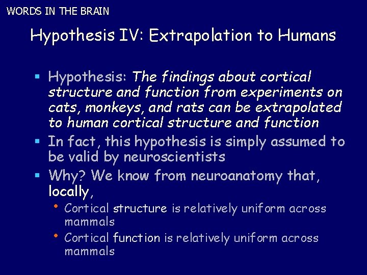 WORDS IN THE BRAIN Hypothesis IV: Extrapolation to Humans § Hypothesis: The findings about