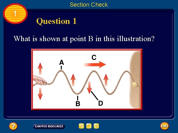 Section Check 1 Question 1 What is shown at point B in this illustration?