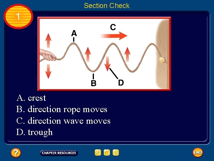 Section Check 1 A. crest B. direction rope moves C. direction wave moves D.