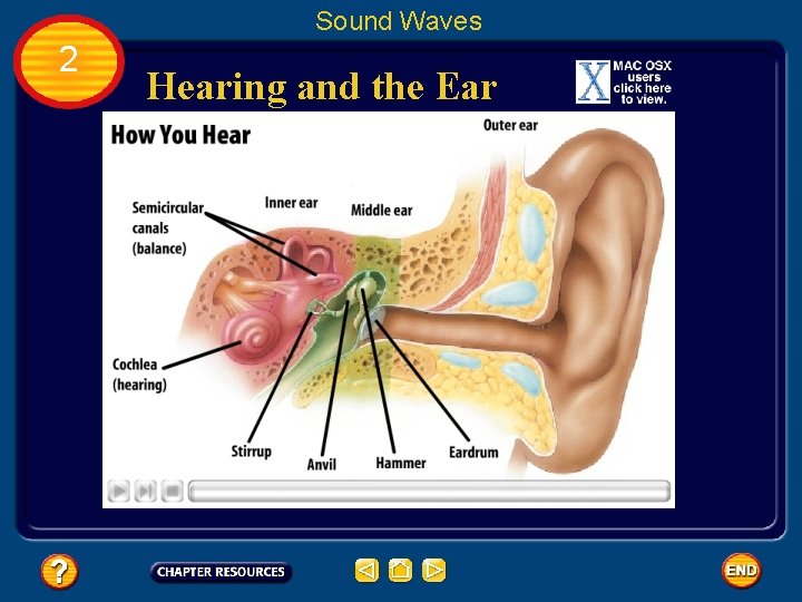 Sound Waves 2 Hearing and the Ear 
