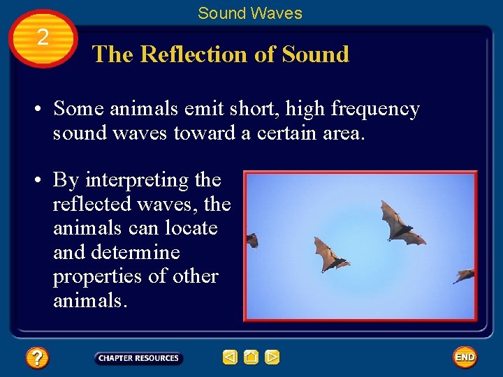 Sound Waves 2 The Reflection of Sound • Some animals emit short, high frequency