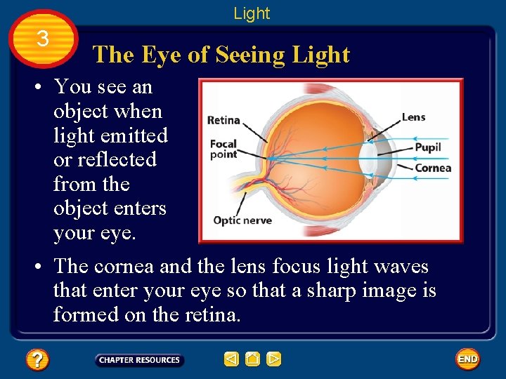 Light 3 The Eye of Seeing Light • You see an object when light