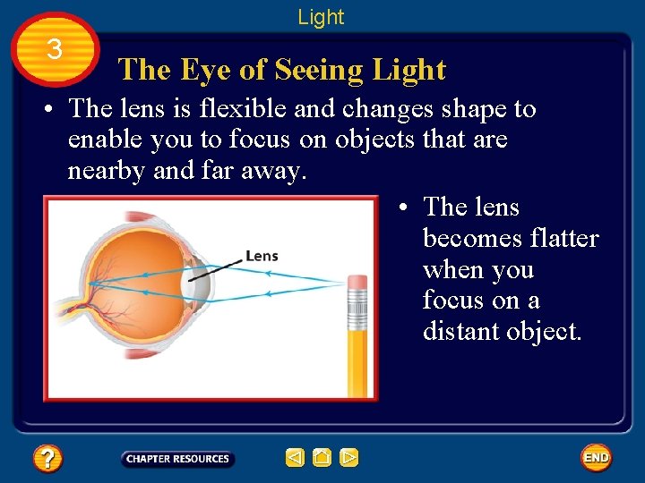 Light 3 The Eye of Seeing Light • The lens is flexible and changes