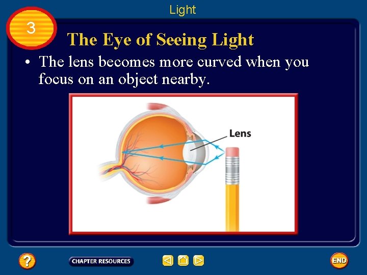 Light 3 The Eye of Seeing Light • The lens becomes more curved when