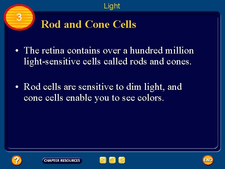 Light 3 Rod and Cone Cells • The retina contains over a hundred million