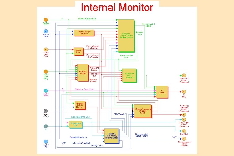 Internal Monitor 