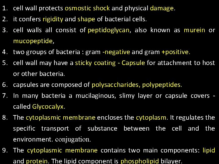 1. cell wall protects osmostic shock and physical damage. 2. it confers rigidity and