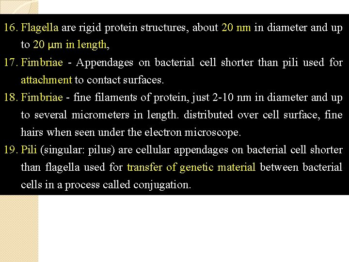 16. Flagella are rigid protein structures, about 20 nm in diameter and up to