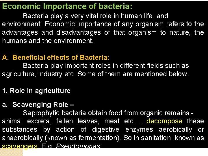 Economic Importance of bacteria: Bacteria play a very vital role in human life, and