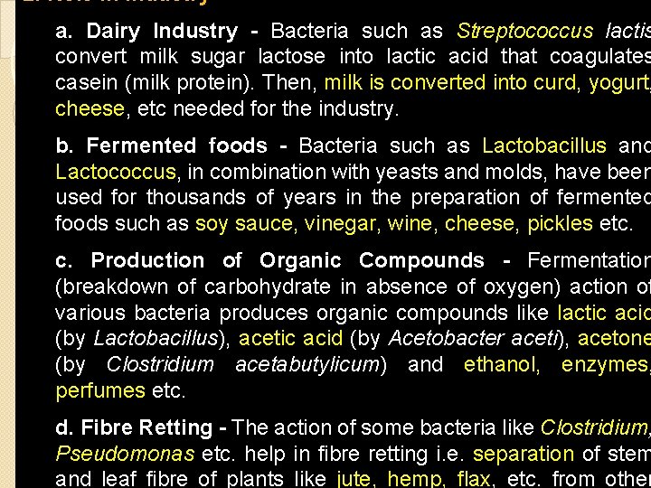 2. Role in Industry a. Dairy Industry - Bacteria such as Streptococcus lactis convert