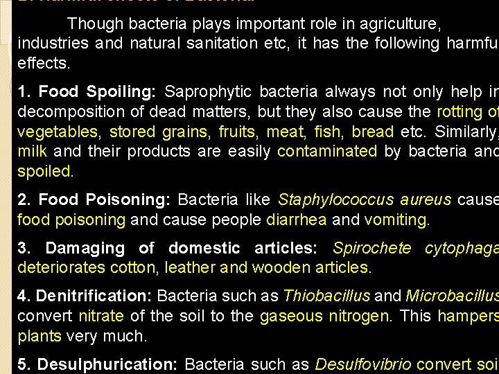 B. Harmful effects of Bacteria: Though bacteria plays important role in agriculture, industries and