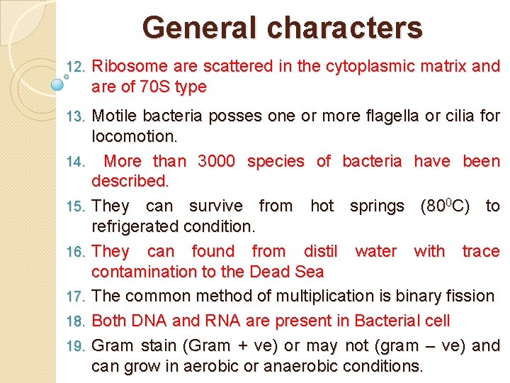 General characters 12. Ribosome are scattered in the cytoplasmic matrix and are of 70