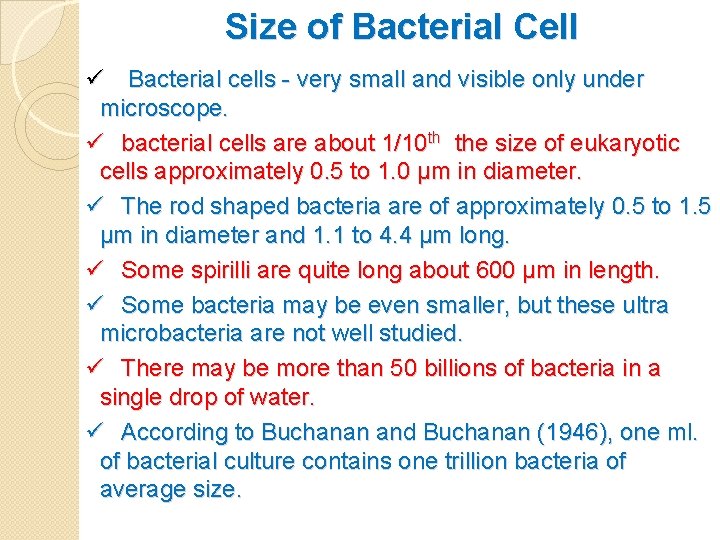 Size of Bacterial Cell ü Bacterial cells - very small and visible only under