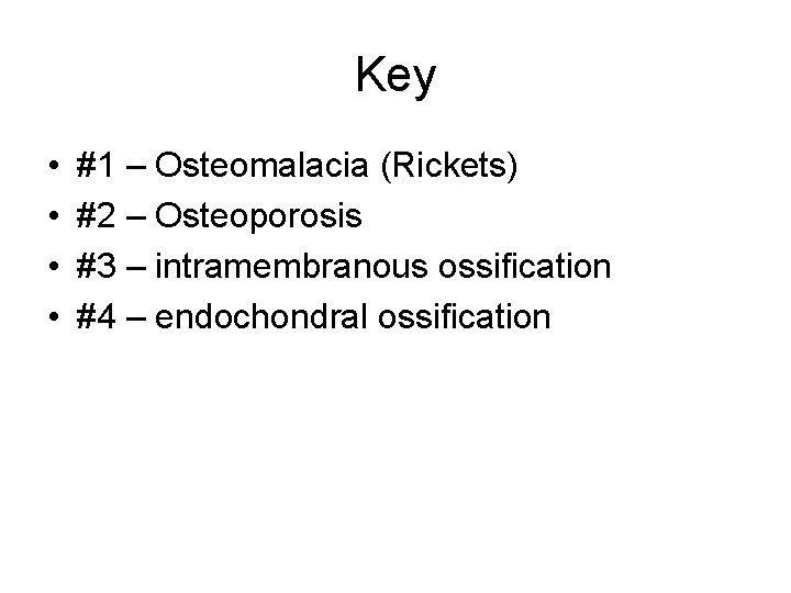 Key • • #1 – Osteomalacia (Rickets) #2 – Osteoporosis #3 – intramembranous ossification