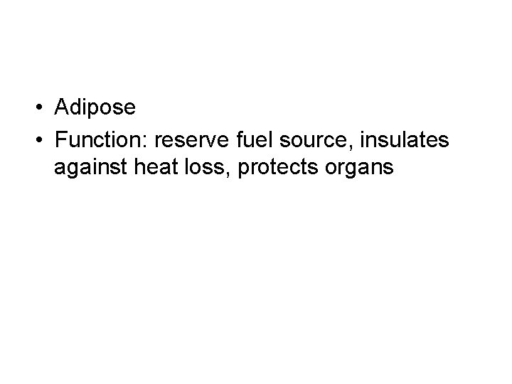  • Adipose • Function: reserve fuel source, insulates against heat loss, protects organs