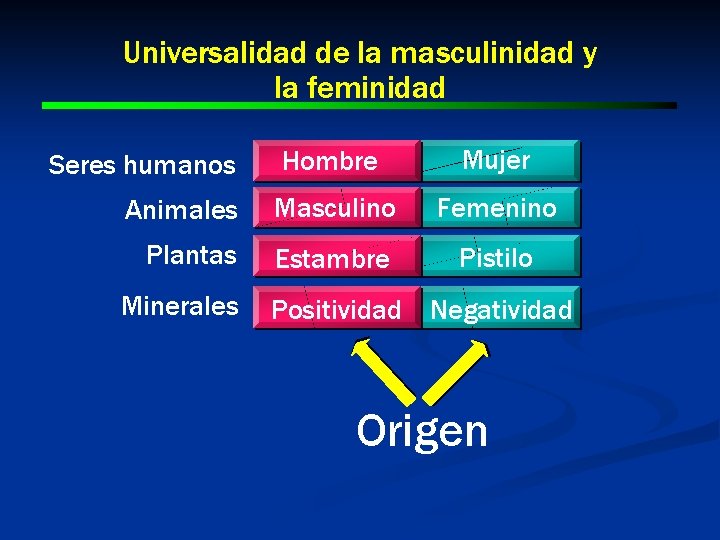 Universalidad de la masculinidad y la feminidad Hombre Mujer Animales Masculino Femenino Plantas Estambre