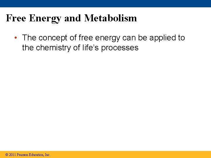 Free Energy and Metabolism • The concept of free energy can be applied to