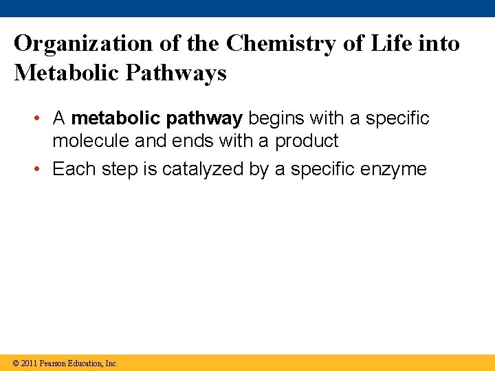 Organization of the Chemistry of Life into Metabolic Pathways • A metabolic pathway begins
