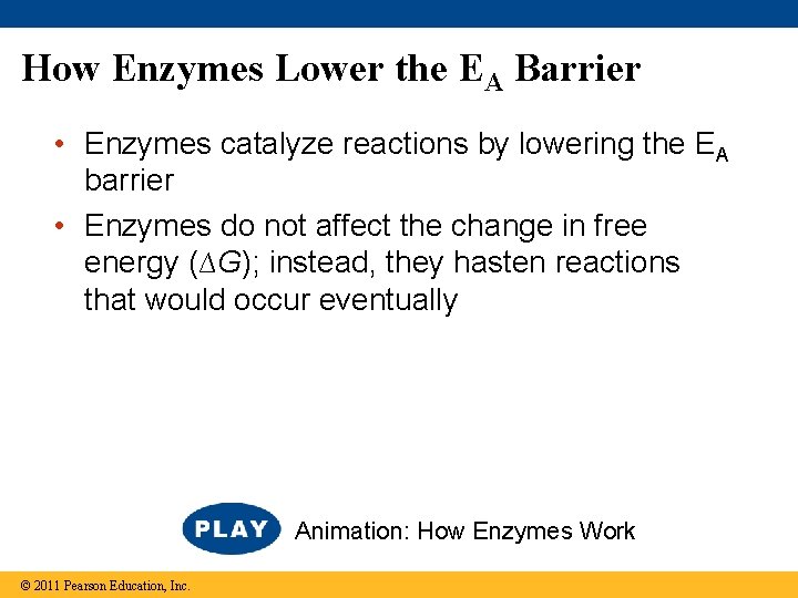 How Enzymes Lower the EA Barrier • Enzymes catalyze reactions by lowering the EA