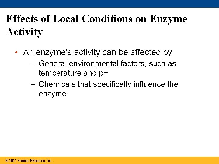 Effects of Local Conditions on Enzyme Activity • An enzyme’s activity can be affected