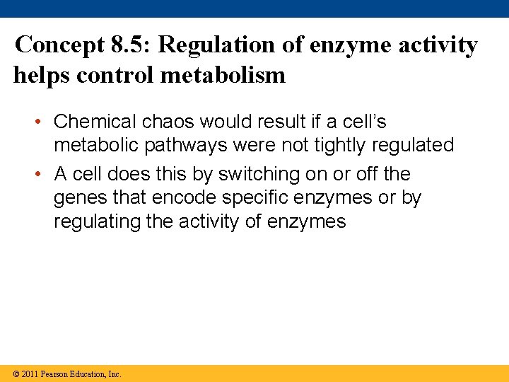 Concept 8. 5: Regulation of enzyme activity helps control metabolism • Chemical chaos would