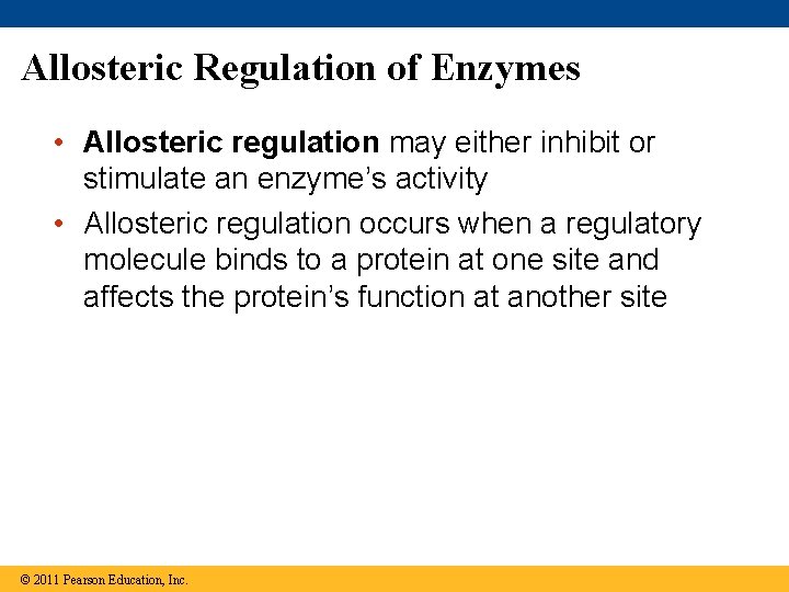 Allosteric Regulation of Enzymes • Allosteric regulation may either inhibit or stimulate an enzyme’s