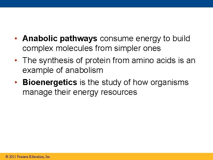 • Anabolic pathways consume energy to build complex molecules from simpler ones •